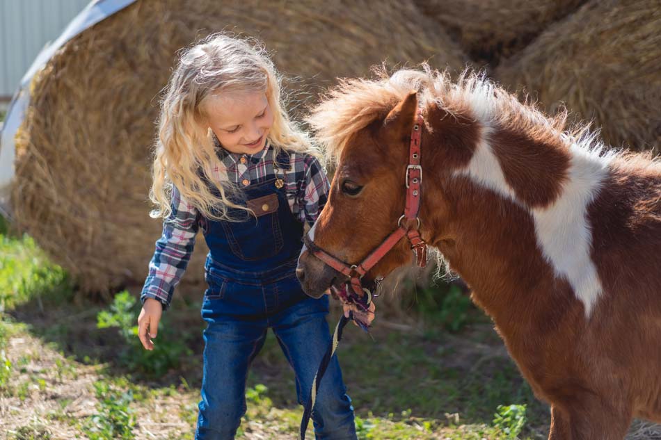 Spendenprojekt-therapeutisches-Reiten Spendenprojekt theraupeutisches Reiten